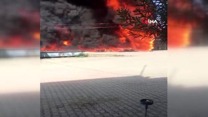 Narenciye paketleme tesisinde yangın