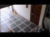 Ghost caught on home CCTV camera   Real cctv ghost caught footage    SCARY