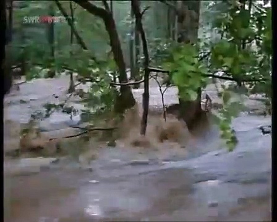 Bauern in alten Zeiten 1