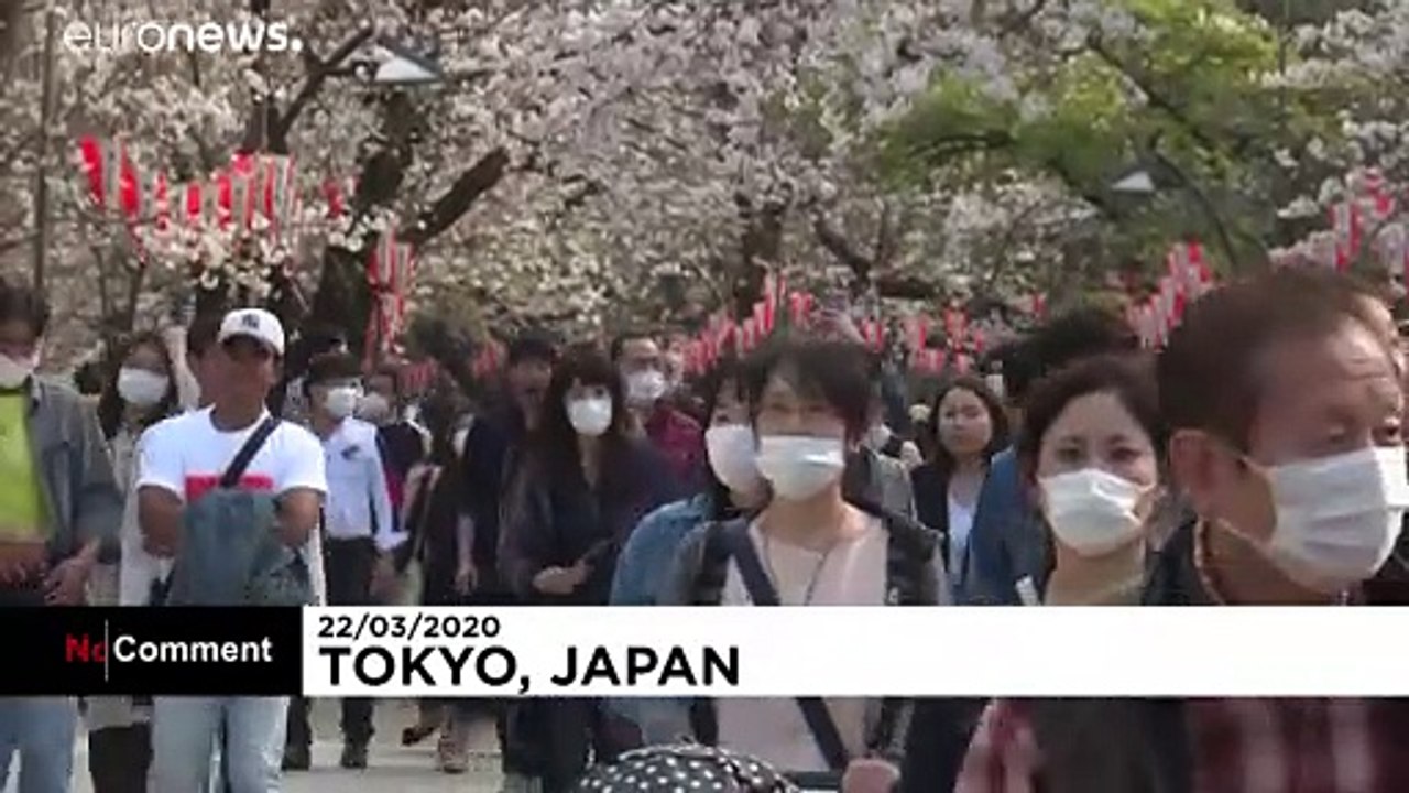 Hanami mit Mundschutz: Japan feiert Kirschblüte trotz Covid-19
