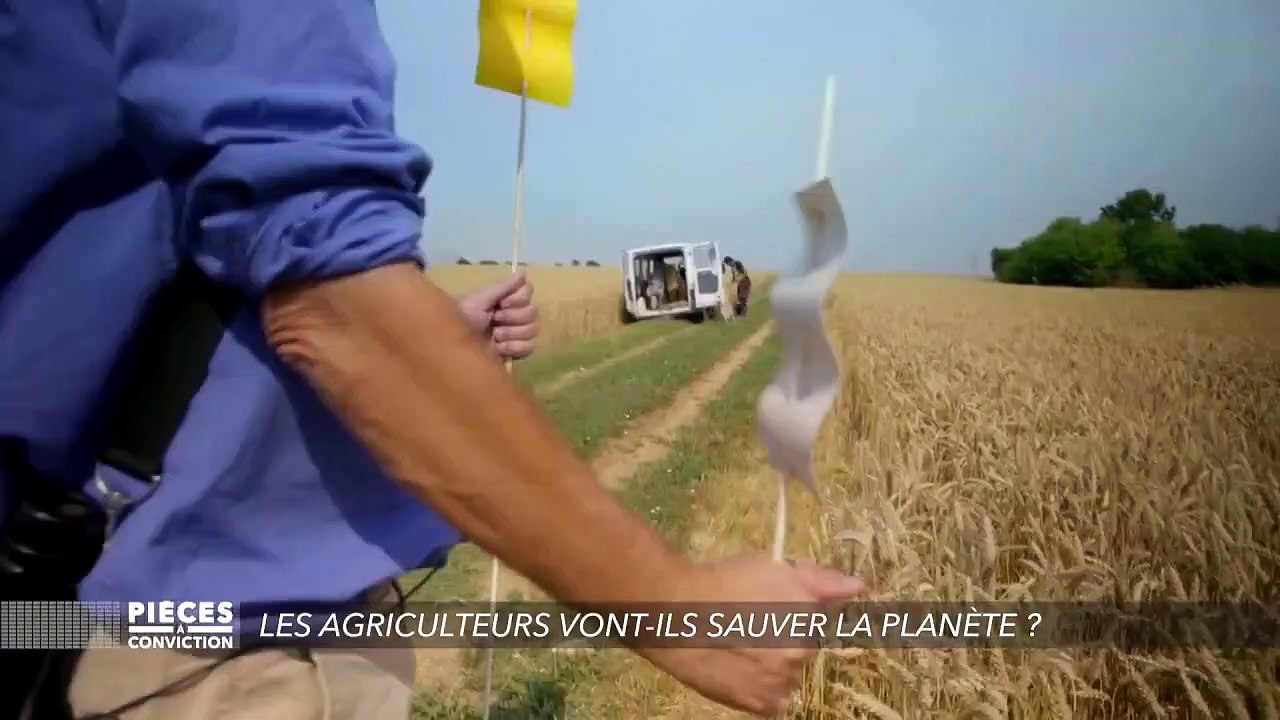 Moins de pesticides, c'est plus d'oiseaux dans les champs... sans nuire aux rendements agricoles, comme le montre cette expérience du CNRS