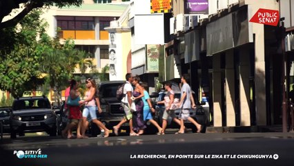 La recherche, en pointe sur le zika et le chikungunya - Positive Outre-mer (17/03/2020)
