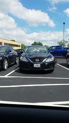 Cette dinde tourne en rond non-stop autour.. d'une voiture !