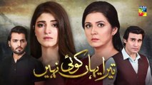 Tera Yahan Koi Nahin Episode 24 HUM TV Drama 23 March 2020
