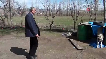 Prof. Dr. Abdullah Çoban koronavirüse çözüm buldu