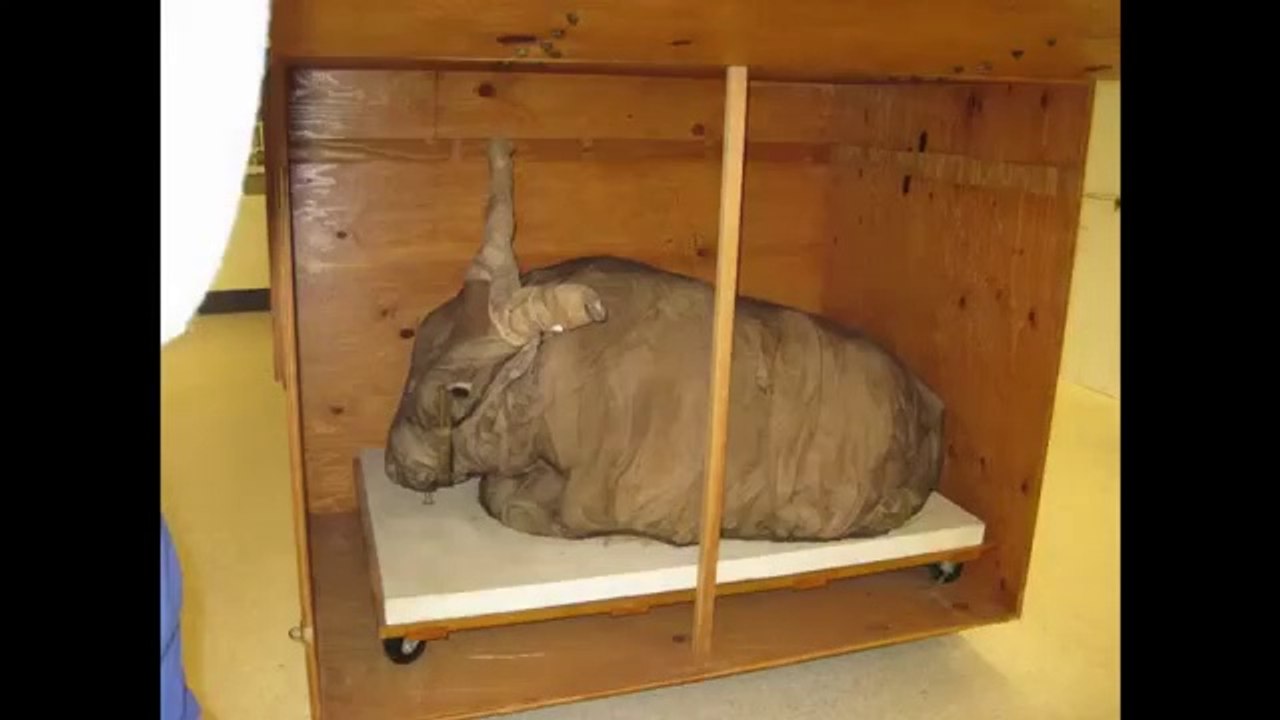 29. Os Maus Exemplos de Jesus