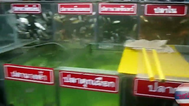 Thailand Exotic Animals Market in Pattaya - Tayland Pattaya Hayvan Pazarı