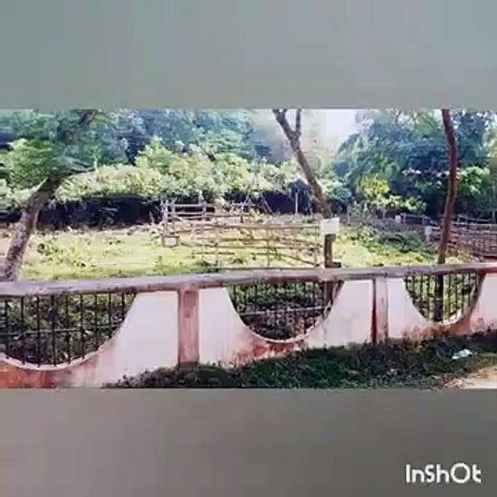 Kazi Bari Fenchuganj Village Bangladesh