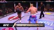 The best knockouts in ufc mix matrial arts