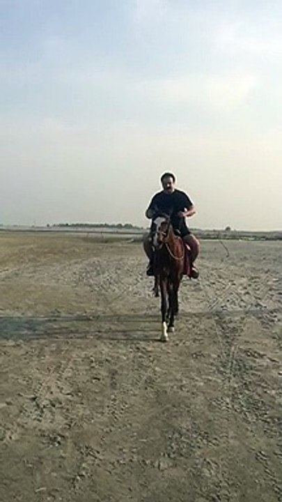 Saad ullah rahim on hours