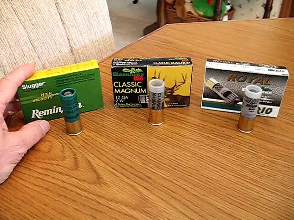12 Gauge Slugs