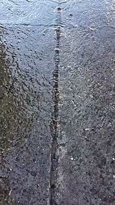 ¡Fuga! Agua brota a chorros del pavimento en Los Mochis