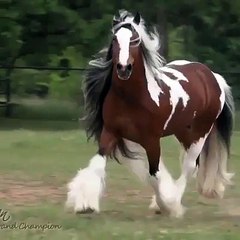 Allah ke takhleeq ka haseen nazara