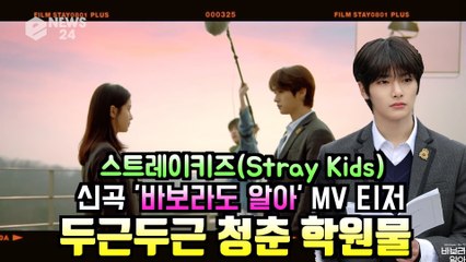 스트레이키즈(Stray Kids), 신곡 '바보라도 알아' 두근두근 청춘 학원물  컨셉