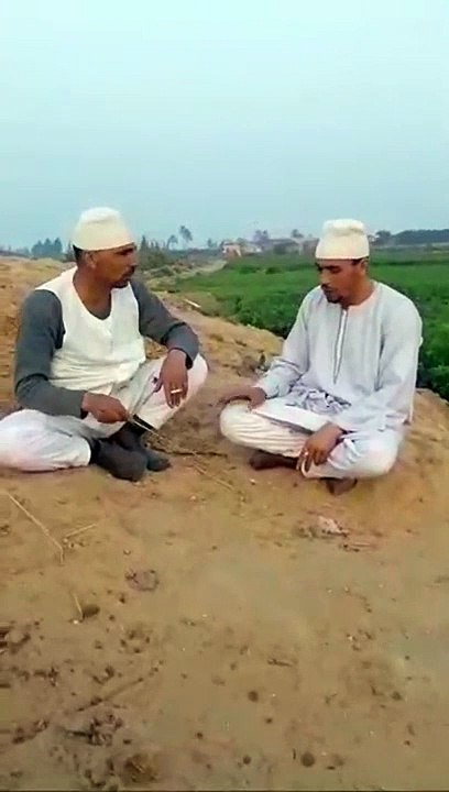 من قلب الريف المصري