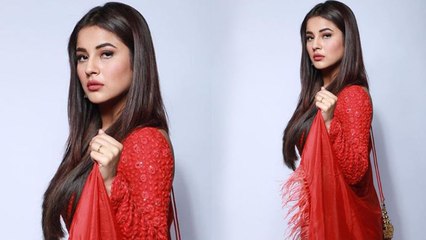 Shehnaz Gill की नई फोटो ने मचाई सनसनी, Bhula Dunga के रिलीज़ से पहले देखिए ये तस्वीर | FilmiBeat