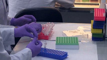 Kocaeli'nde 2,5 saatte sonuç veren koronavirüs test kiti geliştirildi!