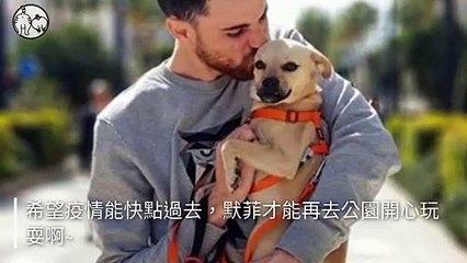 petsmao.nownews-copy2-20200324-15:53