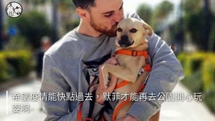 petmao_nownews-copy4-20200324-15:55