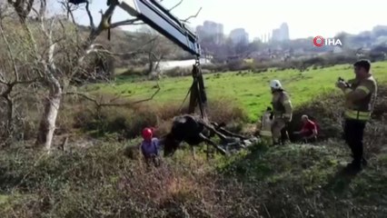 Çamura saplanan ineğe kurtarma operasyonu