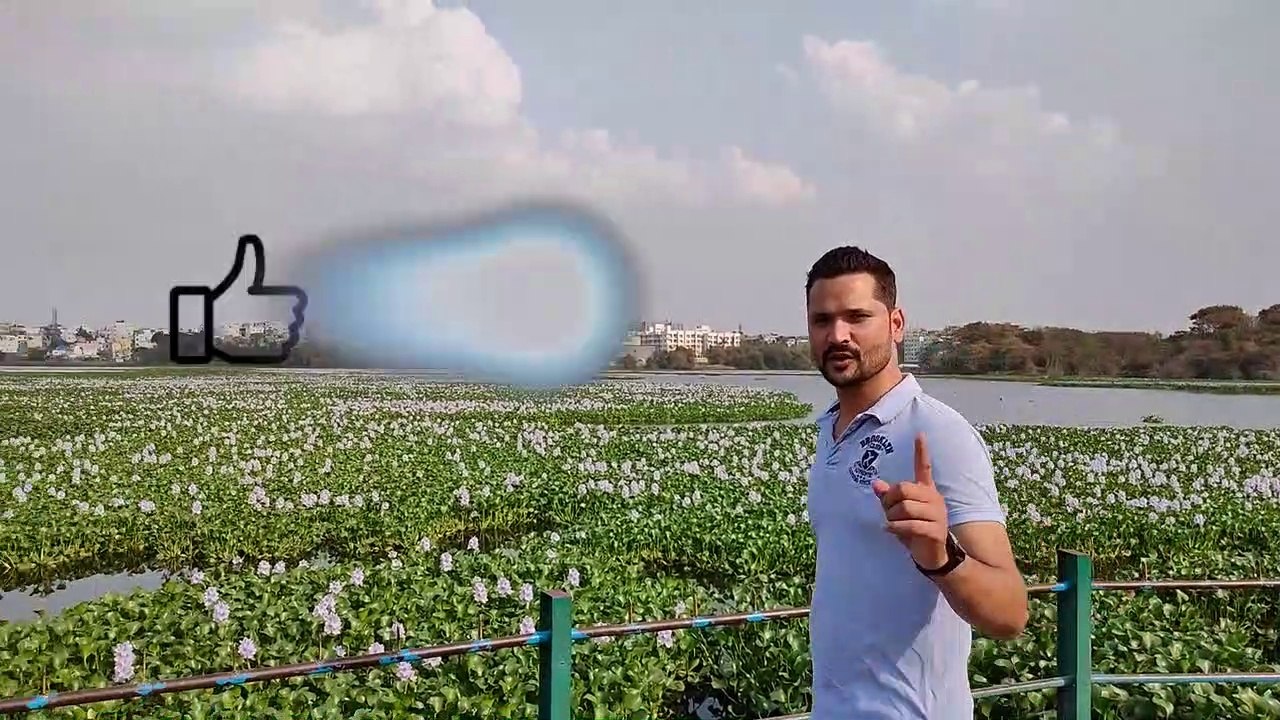 Madiwala lake Tour 2020 | Bengaluru's Biggest Lake (Madiwala Lake) | madiwala lake bangalore