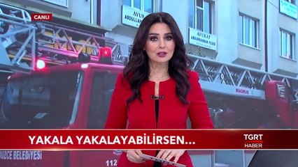 Reklam Panolarına Çıkan Kedi İçin Seferber Oldular