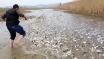 Baraj sularının çekildiği tarladan balık topladılar - BURSA