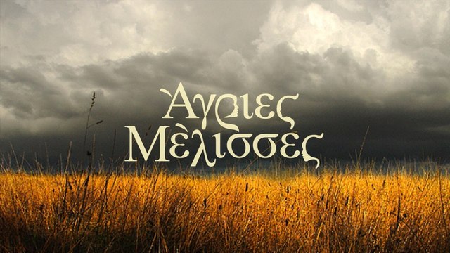 Άγριες Μέλισσες: Ο Προύσαλης δίνει το απόλυτο spoiler! Δε φαντάζεσαι πώς θα δούμε τους ήρωες στα νέα επεισόδια