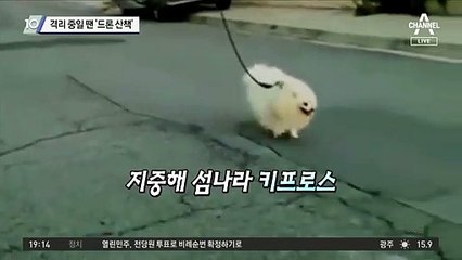 격리 중일 땐 ‘드론 산책’