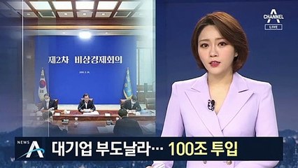 대기업 자금 조달 ‘비상’…정부, 100조 원 이상 투입