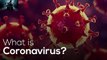 Coronavirus Kya Hai in Urdu Know About Coronavirus Symptoms, Precautions & Prevalence in Pakistan1