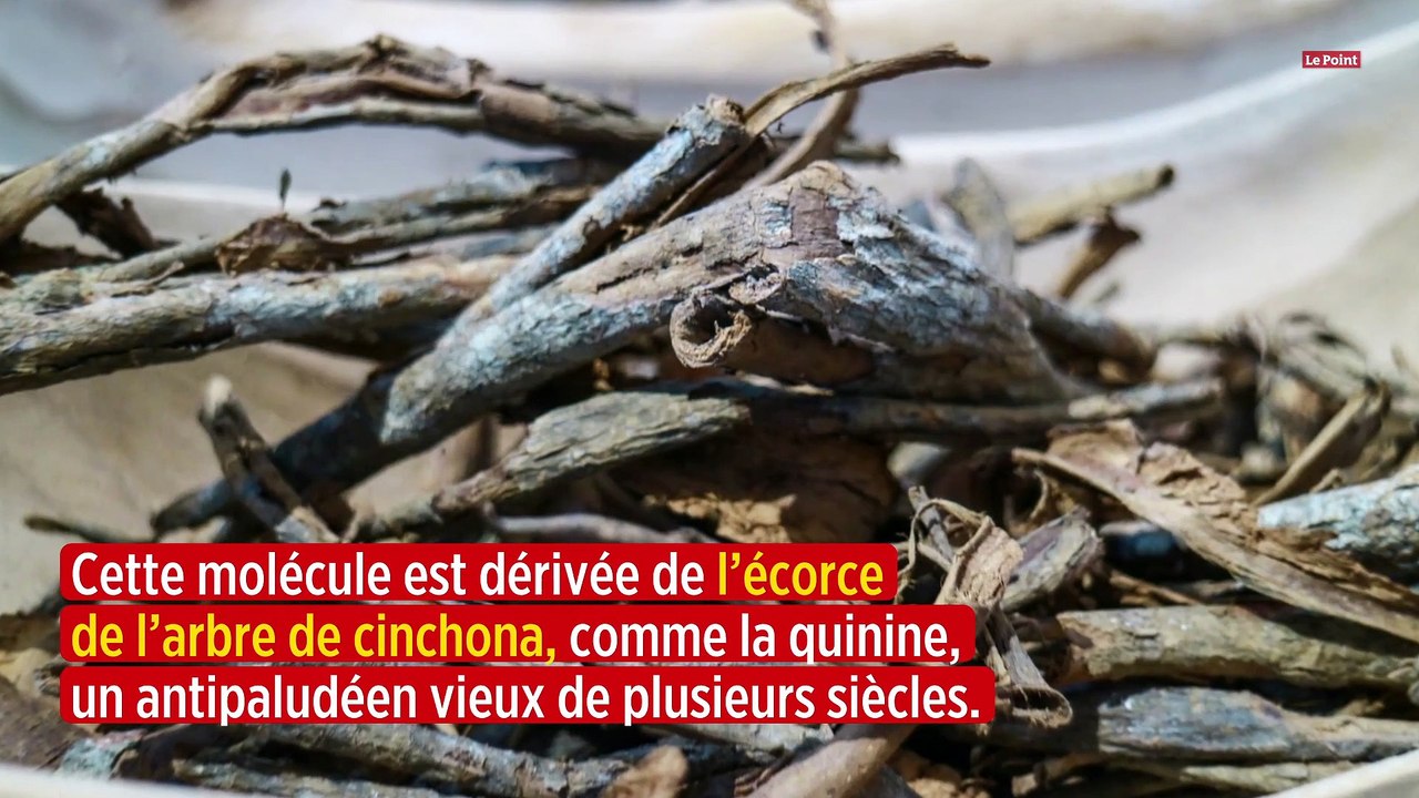 Qu'est-ce que la chloroquine ?