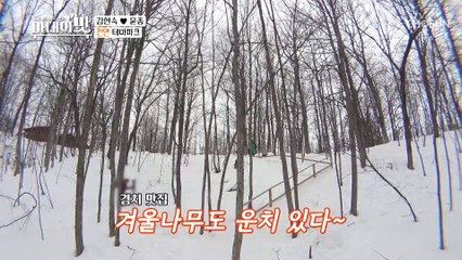 갑자기 분위기 서바이벌ㅋㅋ 눈밭 위 난투극