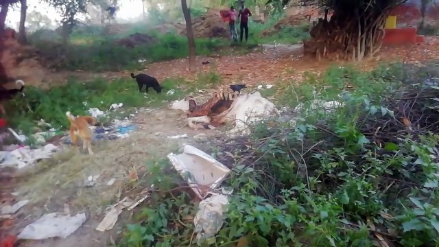 कानपुरः योगी सरकार में गौ माताओ की जीवन जीना हुआ दुश्वार