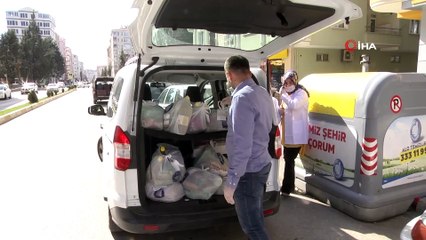 Ulu çınarlar istedi, devlet seferber oldu