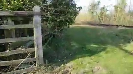 HS2 Worker Coughs on Protester
