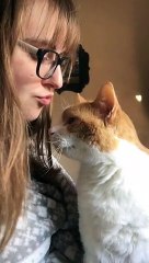 Cute Cat Leans in For Head Kisses