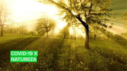 Veja como o Coronavírus está ajudando o meio ambiente