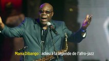 Manu dibango, et james darlays groupe, concert neuville s/s rhône