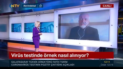 Çin’de ‘hantavirüs’ nedeniyle bir kişi hayatını kaybetti (Hanta virüs nedir- Enfeksiyonu ve belirtileri nelerdir-) - NTV