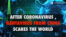 After coronavirus , hantavirus from China scares the world