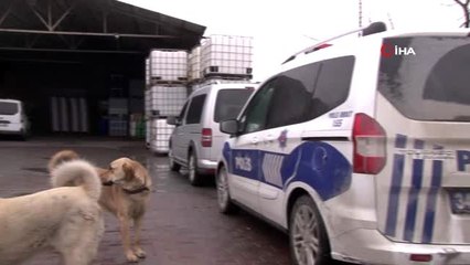 Arnavutköy'de izinsiz dezenfektan üretimi yapılan imalathaneye operasyon