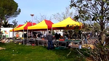 Martigues: mangez des légumes et des fruits, le conseil de Aurélie, maraichère