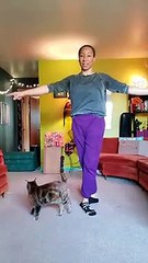 Donner un cours de ballet à distance avec son chat #confinement