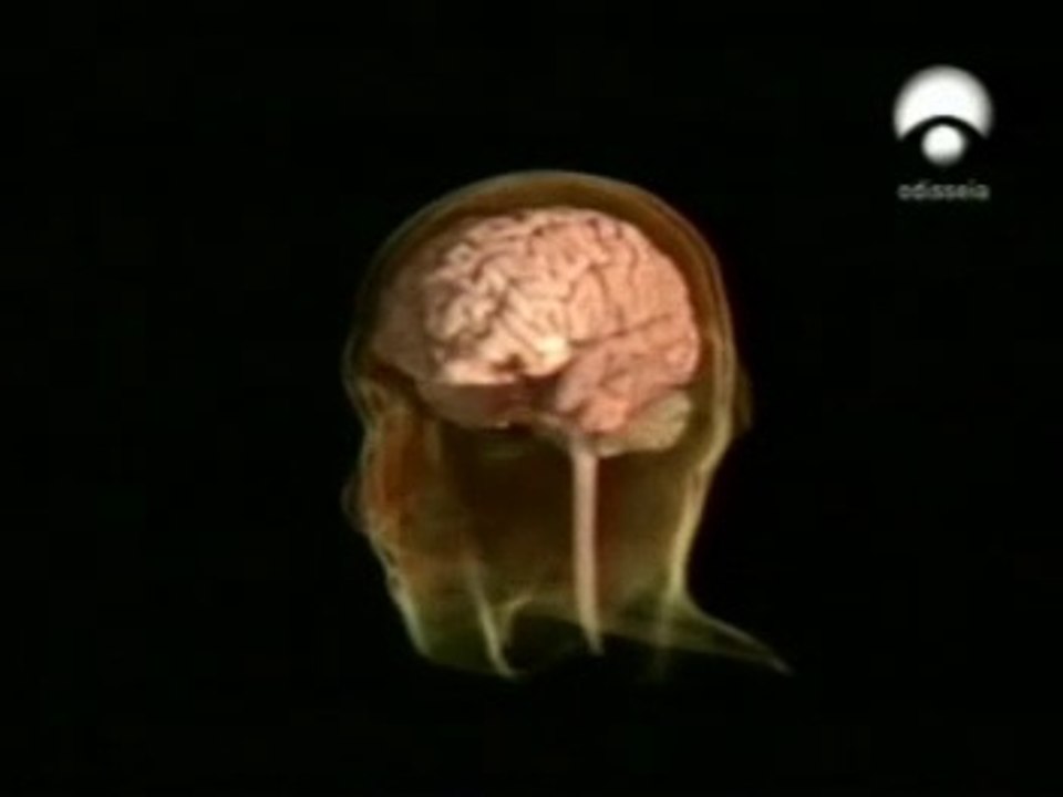 Memoria y olvido: Filtros atencionales