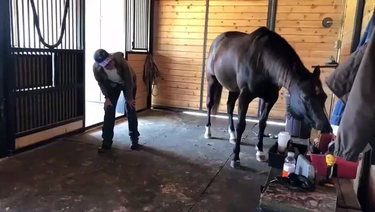 Il fait du Yoga avec son cheval... équitation en mode ZEN