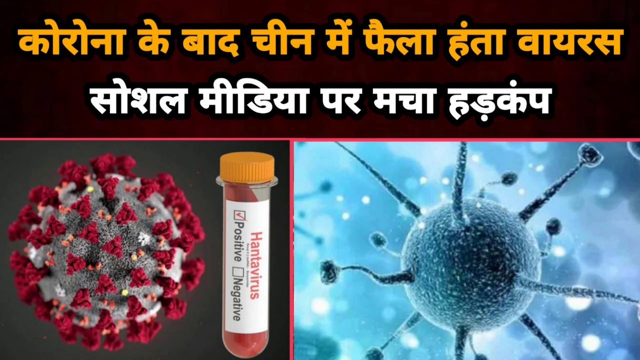 कोरोना के बाद चीन में फैला हंता वायरस, सोशल मीडिया पर मचा हड़कंप  | Gully News