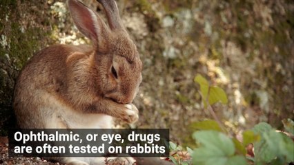 'Blinking' Chip Reveals How a Blink Changes Your Eye