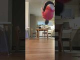Guy Does a Backflip While Juggling Toilet Paper Roll With Feet