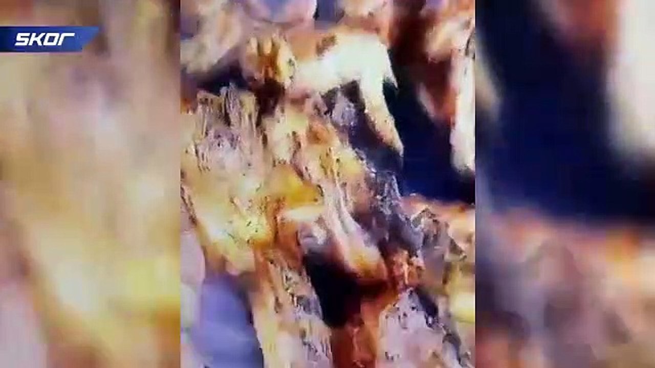 Kevin-Prince Boateng'in 'mangal hasreti' sosyal medyayı salladı